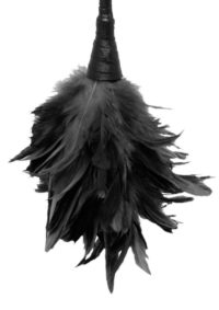 Fetish Fantasy Series Frisky Feather Duster 14in - Black