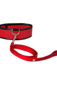 Sex and Mischief Leash and Collar - Red