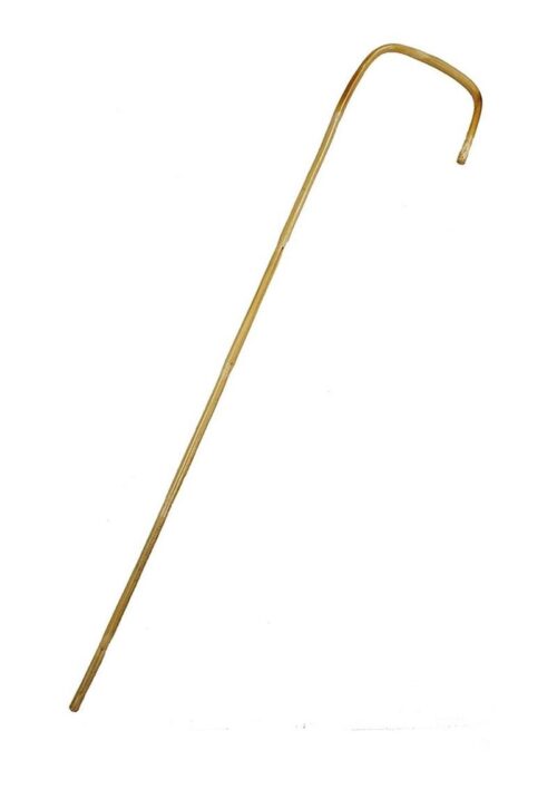 Rouge Bamboo Cane 29in - Brown