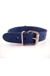 Rouge O Ring Studded Adjustable Leather Collar - Blue
