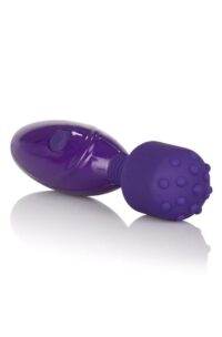 Tiny Teasers Nubby USB Rechargeable Mini Vibrator Silicone Textured Head Waterproof - Purple