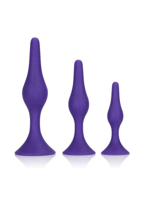 Booty Call Booty Trainer Kit Silicone Anal Plugs 3 Assorted Sizes - Purple