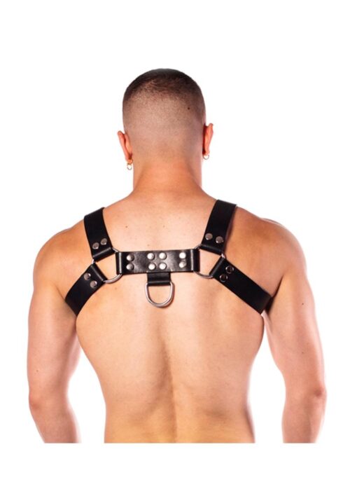 Prowler Red Butch Harness Premium - Large - Black