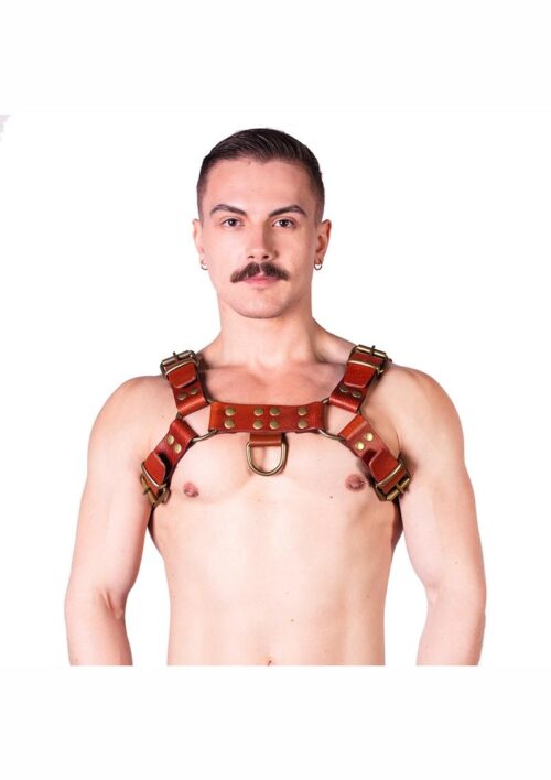Prowler Red Butch Harness - Large - Brown/Brass