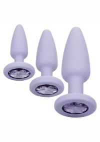 First Time Crystal Booty Kit Silicone Probes (3 piece) - Purple